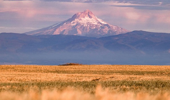 OLIVER CHARLES - Blog #Repeat - Style, Sustainability, Unique Innovative Materials, Sizing, Enclothed Cognition