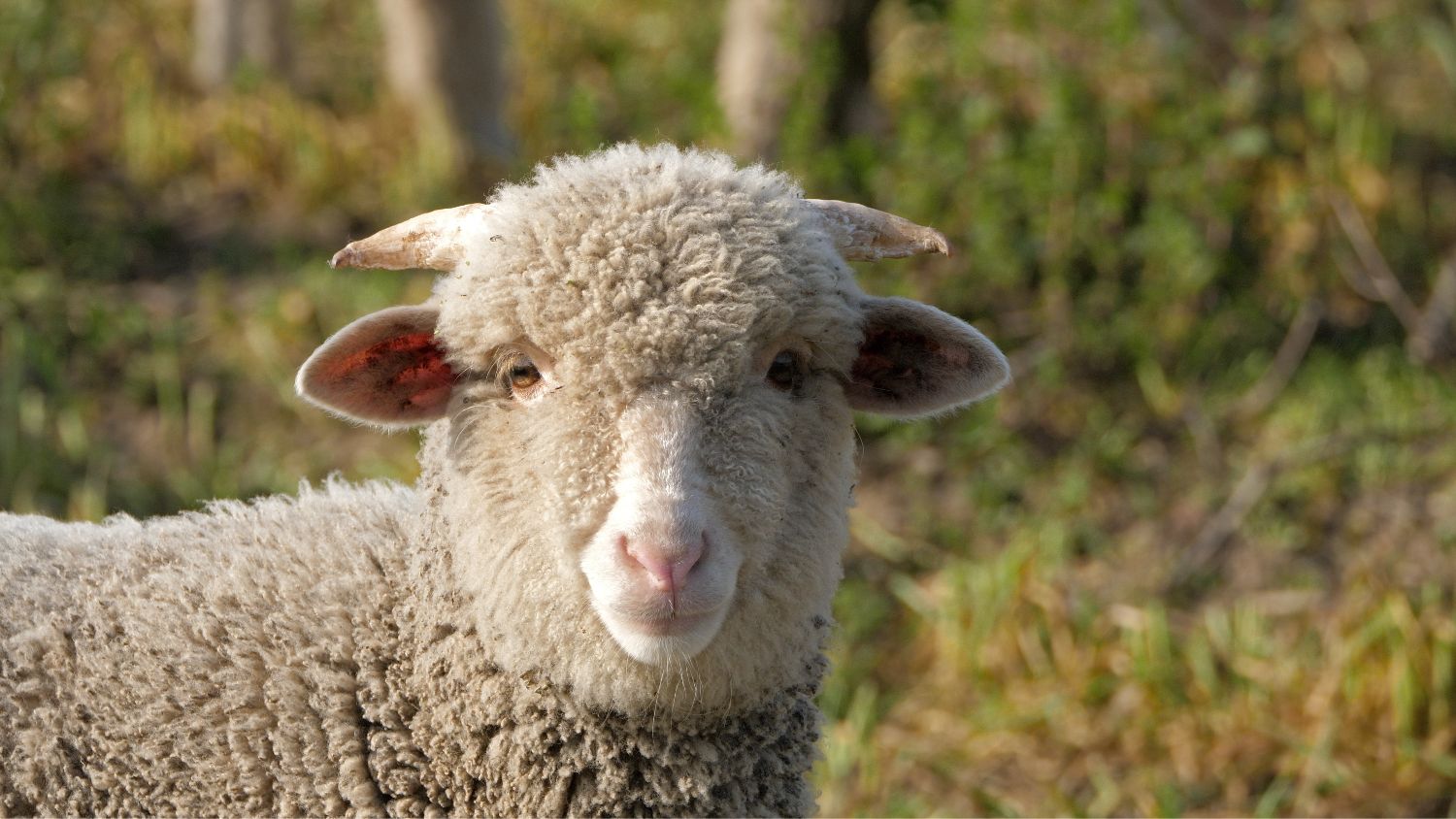 OLIVER CHARLES - Blog #Repeat - Style, Sustainability, Unique Innovative Materials, Sizing, Enclothed Cognition