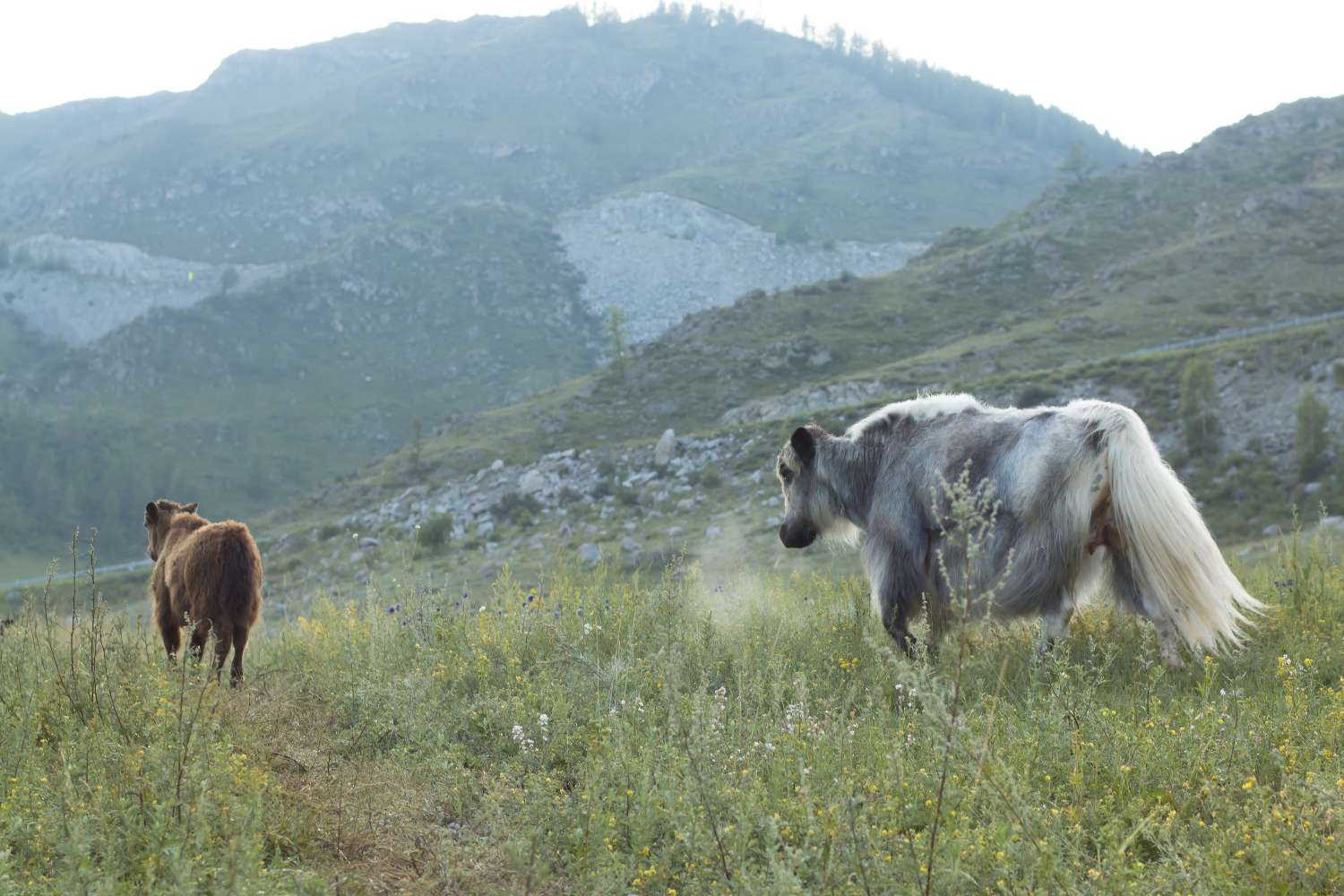 OLIVER CHARLES - Blog #Repeat - Style, Sustainability, Unique Innovative Materials, Sizing, Enclothed Cognition