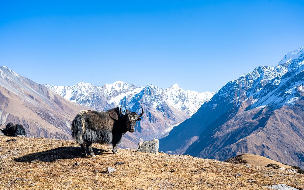 OLIVER CHARLES - Blog #Repeat - Style, Sustainability, Unique Innovative Materials, Sizing, Enclothed Cognition