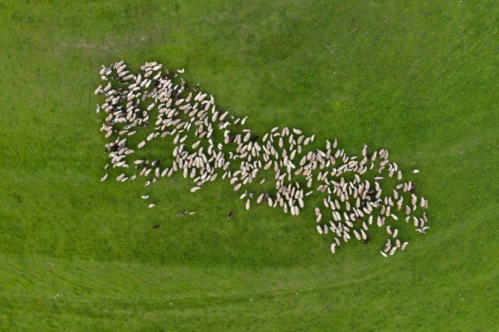 Oliver Charles - Merino & Yak Wool Khullu - Antimicrobial Odor-Resistant Thermoregulating Sustainable Natural Wool Material