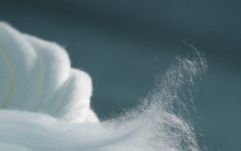 Oliver Charles - How Seaweed Is Made Into SeaCell Yarn