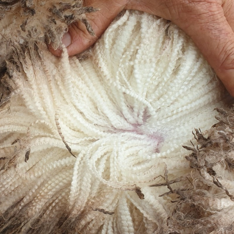 Oliver Charles - Merino & Yak Wool Khullu - Antimicrobial Odor-Resistant Thermoregulating Sustainable Natural Wool Material